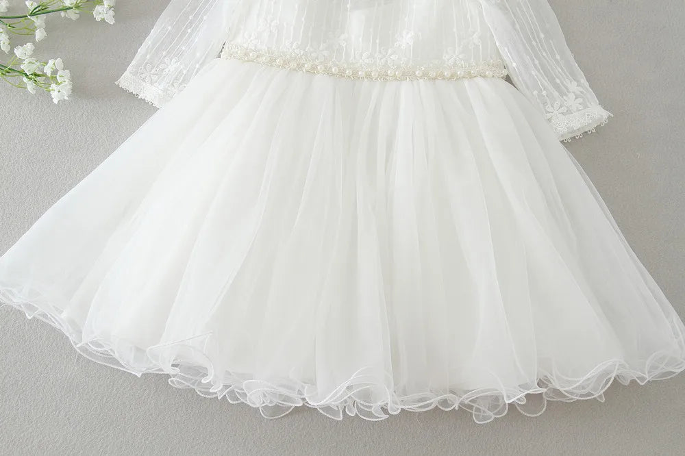 Hetiso Baby Girl Baptism Dress Infant Christening Dresses for Girls 1 first Birthday Party Princess Ball Gown for Wedding 3-24M